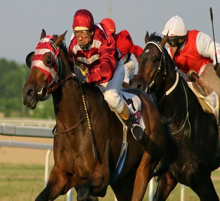 Trải Nghiệm Đua Ngựa FAFA191: Hấp Dẫn, Kịch Tính Và Đầy Cơ Hội 2 Trải Nghiệm Đua Ngựa FAFA191: Hấp Dẫn, Kịch Tính Và Đầy Cơ Hội